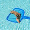 Fine Mesh Pool Skimmer Net UltraFine Mesh For Efficient Debris Removal Perfect Leaf Skimmer 0
