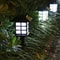 Solar Pathway Lights for Outdoor Landscaping, Waterproof Garden & Patio Decor