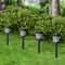 Solar Pathway Lights for Outdoor Landscaping, Waterproof Garden & Patio Decor