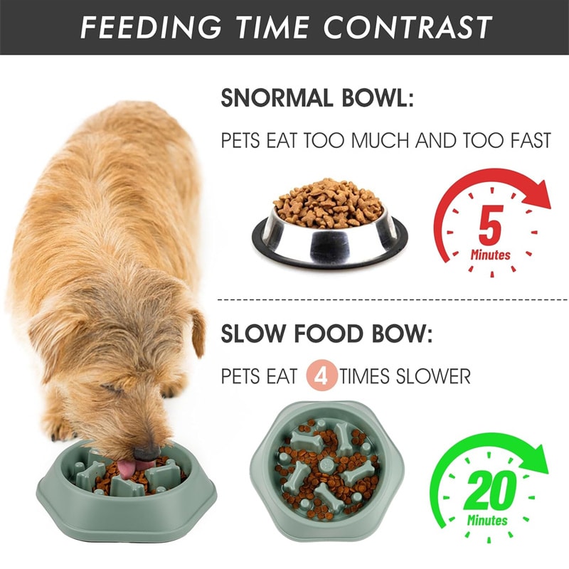 Smart Slow Feeder Dog Bowl Anti Choking Puzzle Feeding Dish For Healthy Eating 4