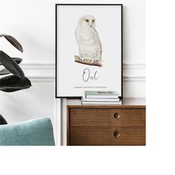 digital bird watercolor prints, owl water color art