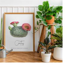 rare round cactus art watercolor botanical cactus, farmhouse