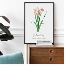 gladiolus birth flower august printable art poster digital