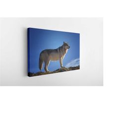 noble wolf, canvas wall art print | poster