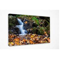 natural beauties, canvas wall art print | poster