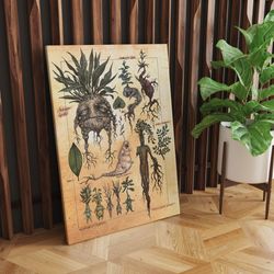herbology medicinal plant canvas wall art, magic botanical canvas print, wall art whimsical witchcraft kitchen decor, re