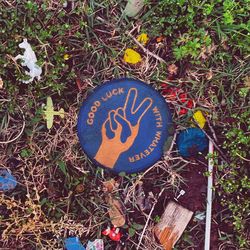 dawes (good luck with whatever) album cover poster