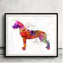 dogo argentino 01 in watercolor - fine art print glicee poster decor home watercolor gift illustration dog - sku 0037
