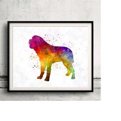 saint bernard 01 in watercolor - fine art print glicee poster decor home watercolor gift illustration dog - sku 0090
