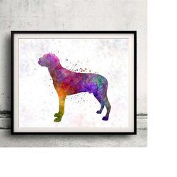 hamiltonstovare 01 in watercolor - fine art print glicee poster decor home watercolor gift illustration dog - sku 0058
