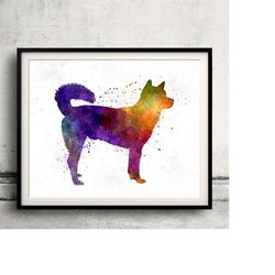 kishu 01 in watercolor - fine art print glicee poster decor home watercolor gift illustration dog - sku 0065