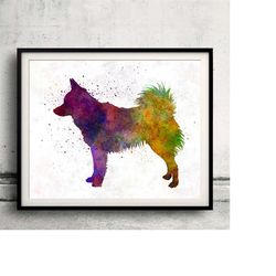 schipperke 01 in watercolor - fine art print glicee poster decor home watercolor gift illustration dog - sku 0092