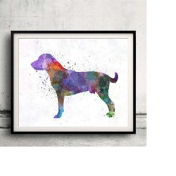 harrier 01 in watercolor - fine art print glicee poster decor home watercolor gift illustration dog - sku 0059