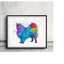 pomeranian 01 in watercolor - fine art print glicee poster decor home watercolor gift illustration dog - sku 0343