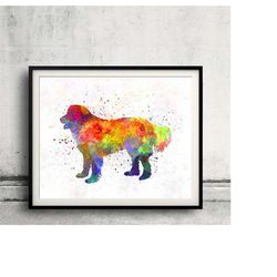 slovakian chuvach 01 in watercolor - fine art print glicee poster decor home watercolor gift illustration dog - sku 0355