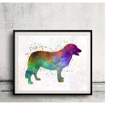 atlas mountain dog 01 in watercolor - fine art print glicee poster decor home watercolor gift illustration dog - sku 030