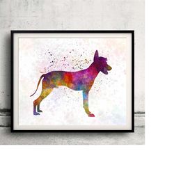 peruvian hairless dog 01 in watercolor - fine art print glicee poster decor home watercolor gift illustration dog - sku