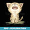 cat cat lover cute kitten pet funny animal art illustration Toru Sanogawa official - PNG Sublimation Digital Download