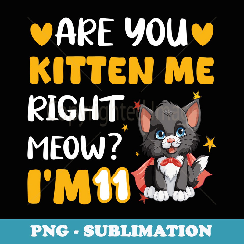 11th Birthday Design For Girls 11yr 11 Year Old Kitten Cat - Sublimation PNG File