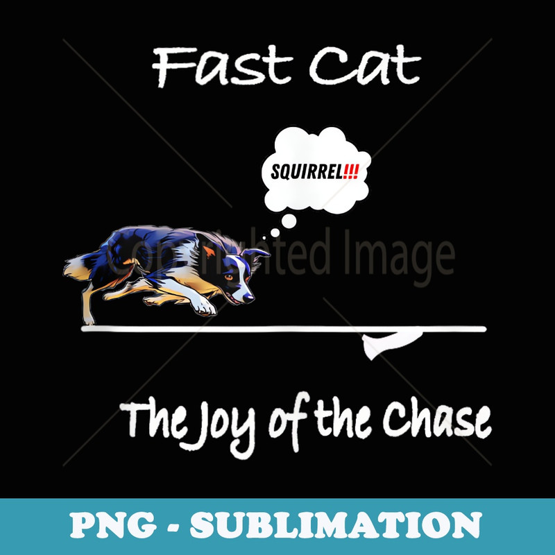Funny Dog Lover - Fast Cat - Squirrel with Border Collie - Exclusive PNG Sublimation Download
