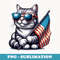 Funny Cute Cat Lovers American usa flag 4th Of July Cats - Creative Sublimation PNG Download