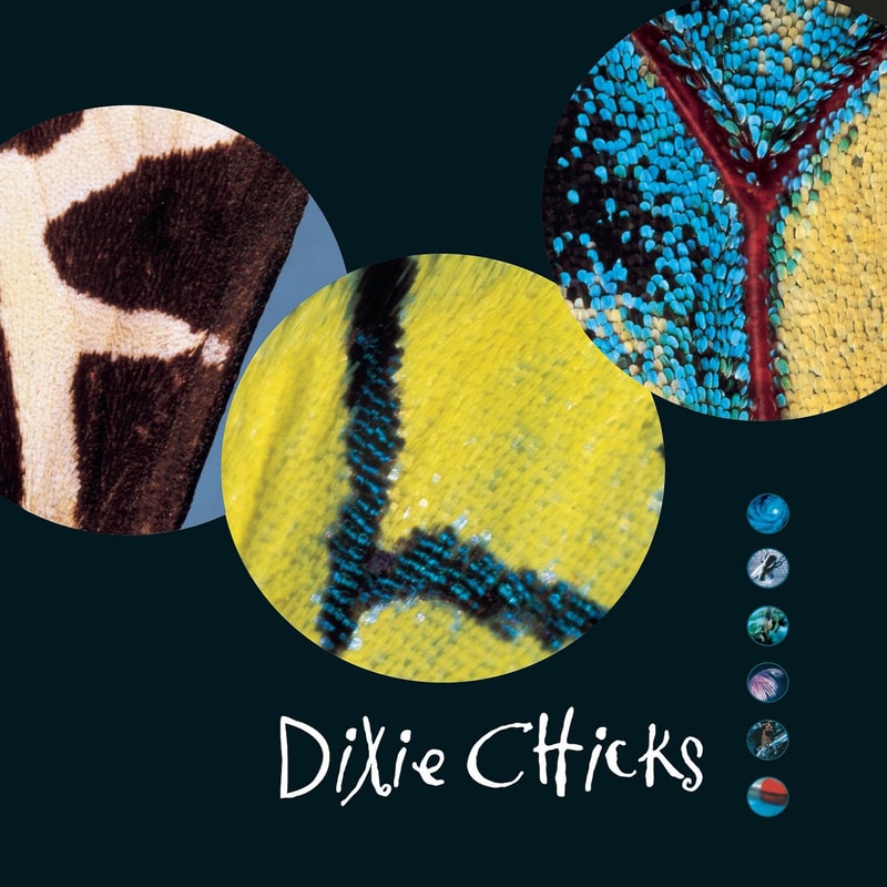 Dixie Chicks (Gaslighter) Album Cover POSTER.jpg