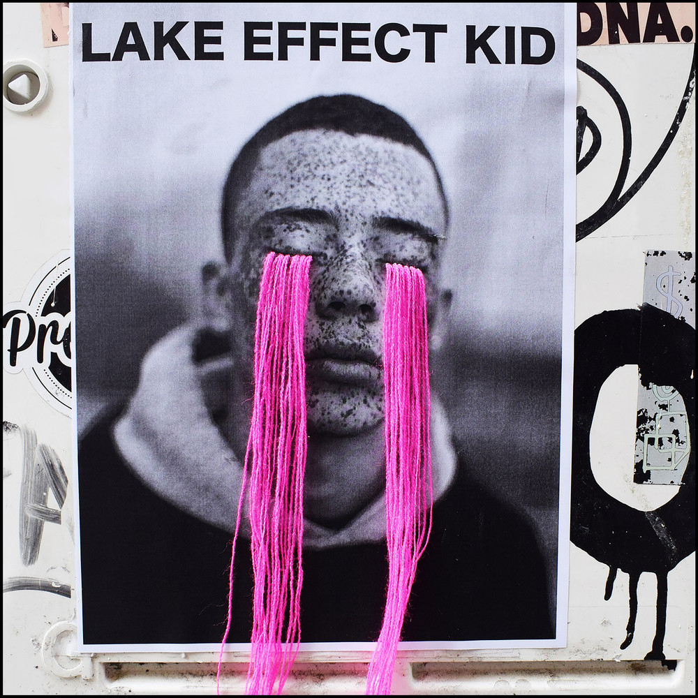 Fall Out Boy (Lake Effect Kid) Album Cover POSTER.jpg