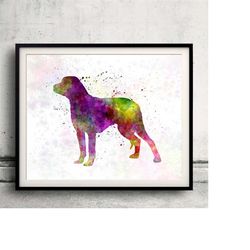 schillerstovare 01 in watercolor - fine art print glicee poster decor home watercolor gift illustration dog - sku 0209