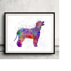 irish water spaniel 01 in watercolor - fine art print glicee poster decor home watercolor gift illustration dog - sku 00