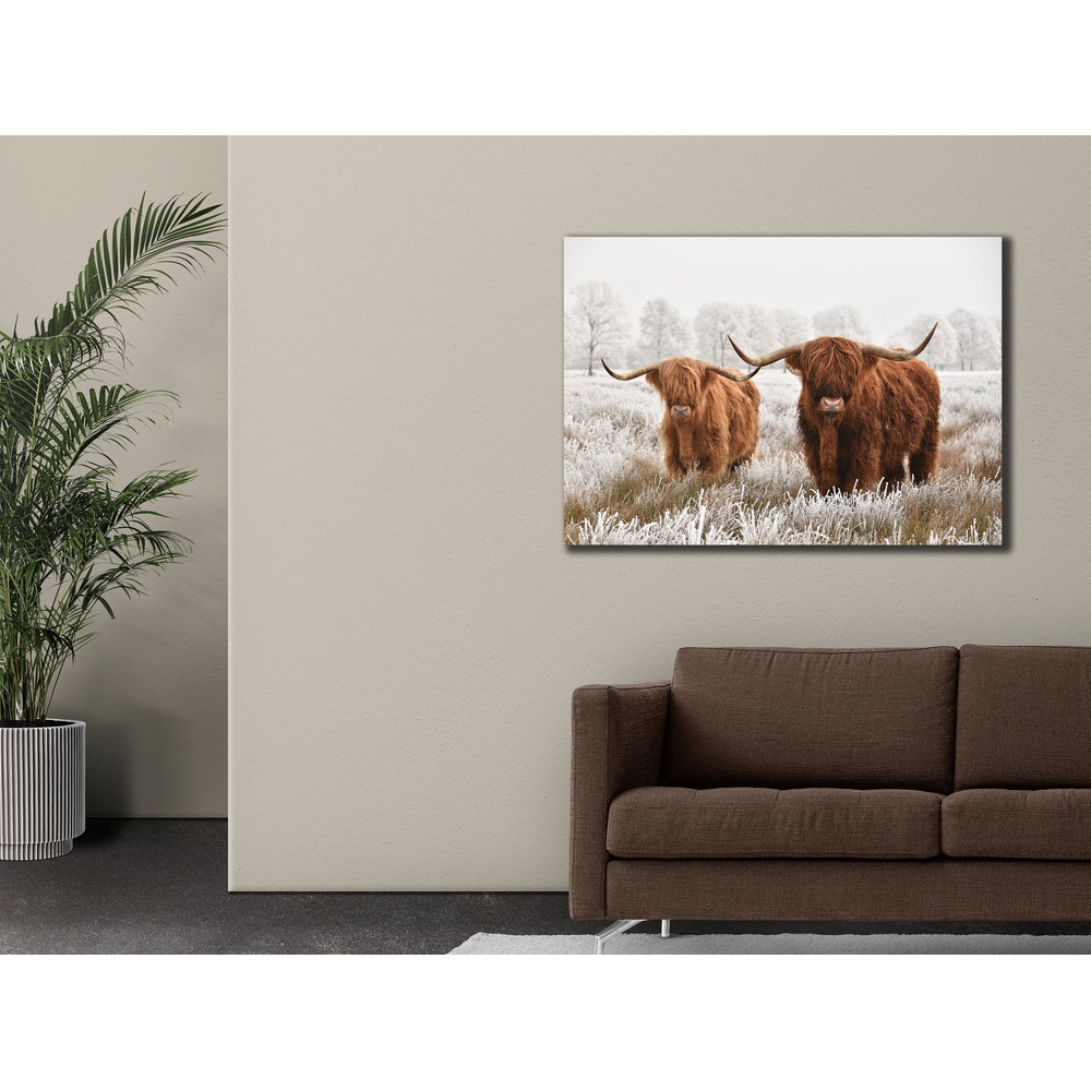 Highland Cow Canvas Art, Animals Wall Decor, Abstract Print Canvas, Ready to Hang, Modern Home Decor, Farmhouse Wall Art, Cow Poster 1.jpg