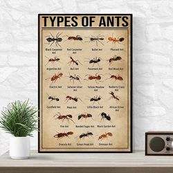 types of ants vertical poster
