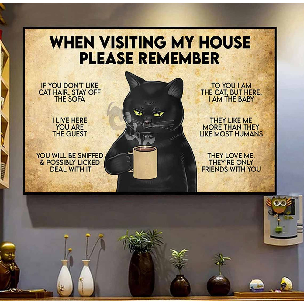 When Visiting My House Please Remember Funny Cat Poster.jpg