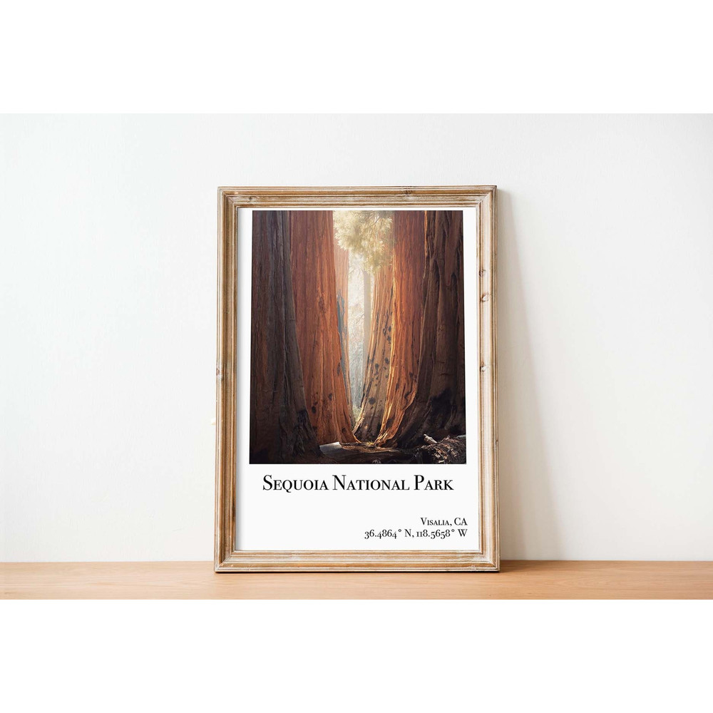 Sequoia National Park poster sequoia print sequoia national park poster california poster national parks poster.jpg