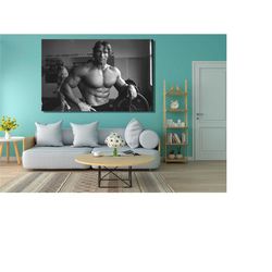 arnold schwarzenegger rugs ready to hang canvas,bodybuilder poster,arnold prints gym motivation print schwarzenegger pri