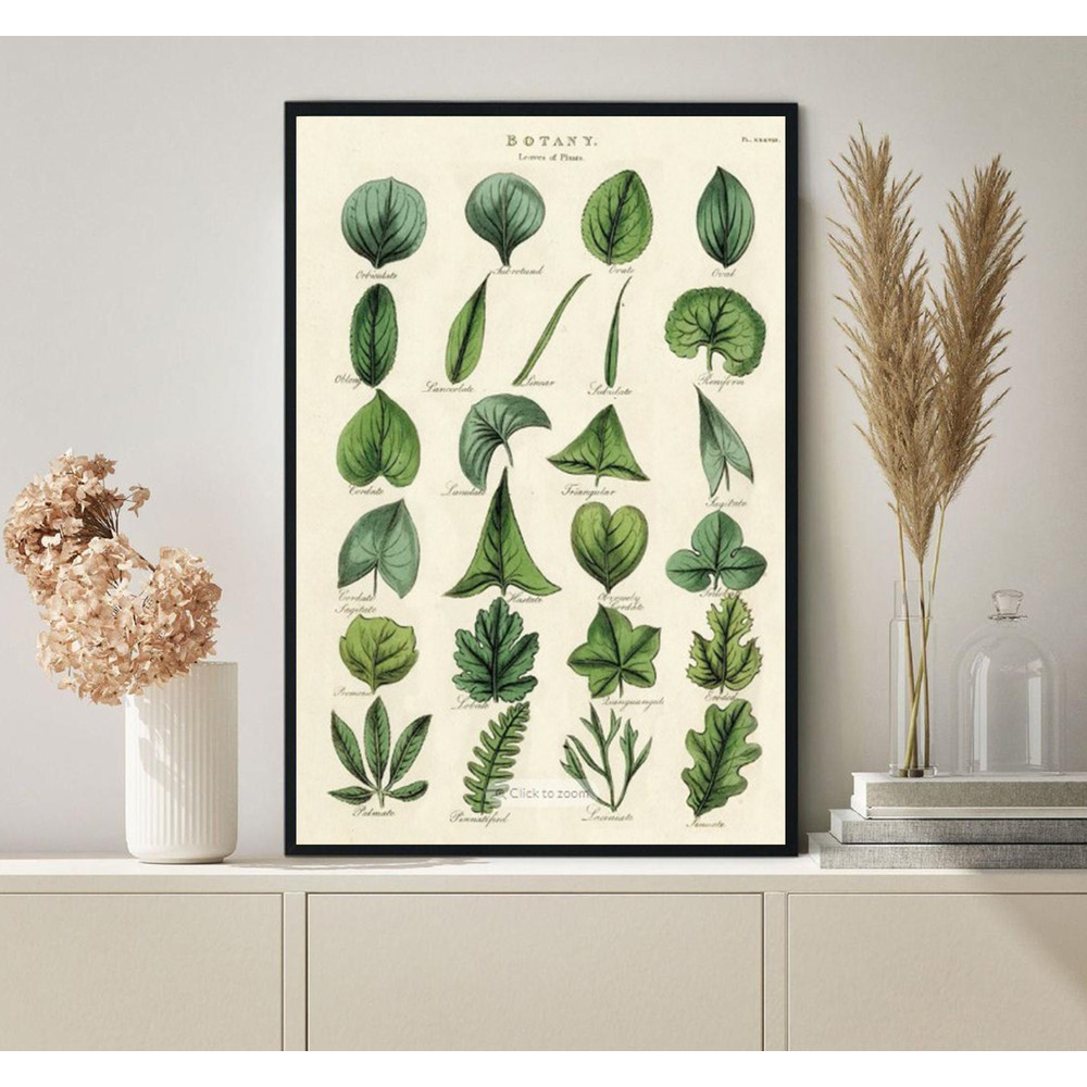 Vintage Leaves Of Plants Leaf Knowledge Poster.jpg