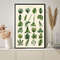 Vintage Leaves Of Plants Leaf Knowledge Poster.jpg