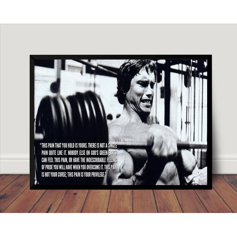 Arnold Schwarzenegger Bodybuilding Poster Canvas Wall Art Home Decor (No Frame) 4.jpg