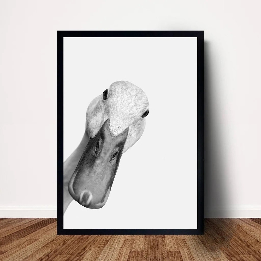 Mallard Duck Poster Canvas Wall Art Home Decor (No Frame).jpg