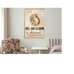 ammonite - movie posters - movie collectibles - unique customized poster gifts
