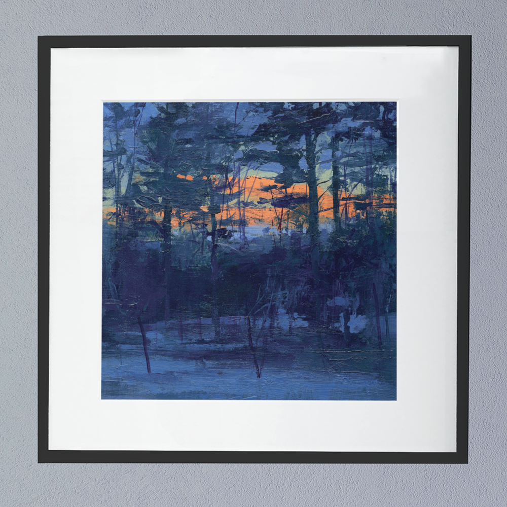 Animal Hospital (Shelf Life) Album Cover Poster.png