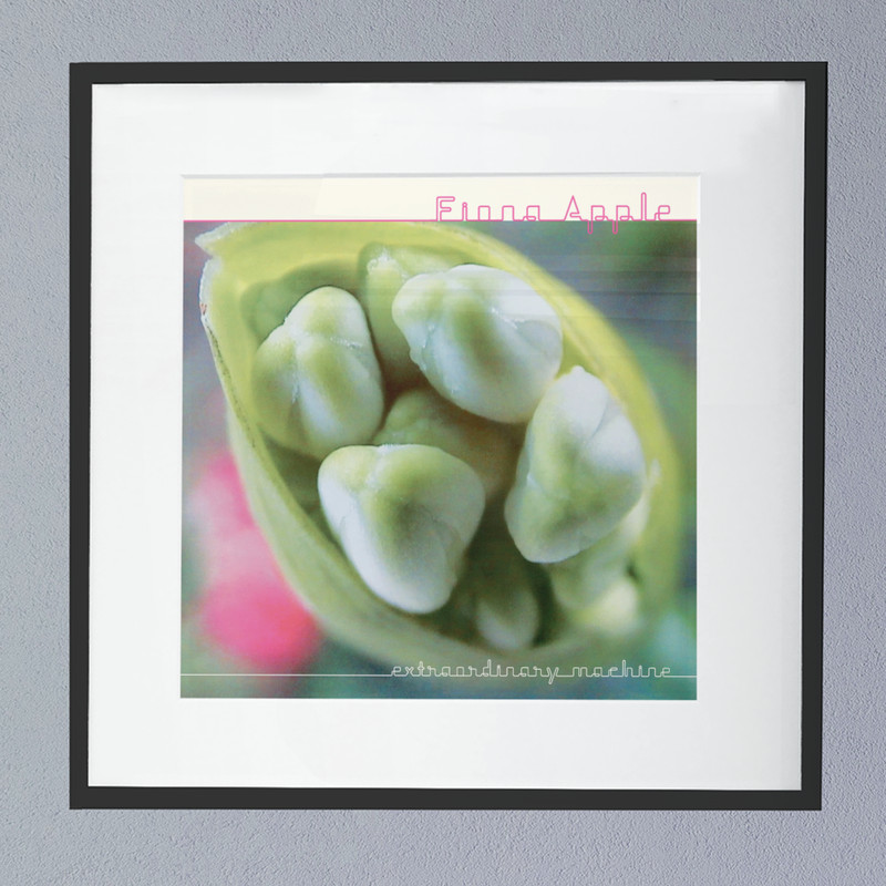 Fiona Apple (Extraordinary Machine) Album Cover Poster.png