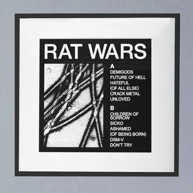 Health (Rat Wars) Album Cover Poster.png