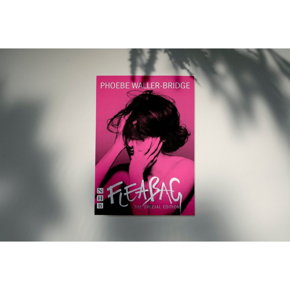 Fleabag Movie Print Wall Art, Vintage TV Series Printed Art, TV Shows Poster, Retro Film Lover Decor, Movie Wall Art, Gift For Her.jpg