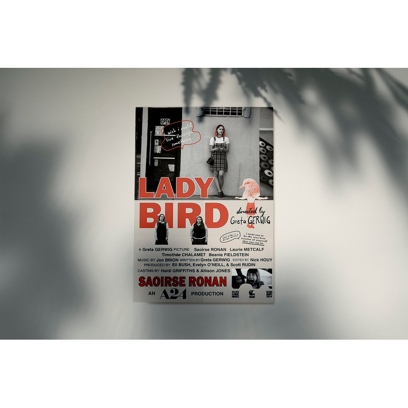 Lady Bird Films Poster, Film Canvas, Album Wall Art, Modern Home Room Poster, Modern Poster, Home Decor, Retro Vintage Movie Poster.jpg
