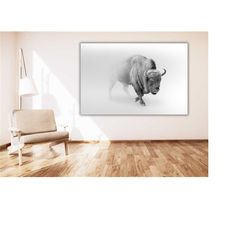 american buffalo in snow poster/canvas wall art,buffalo print