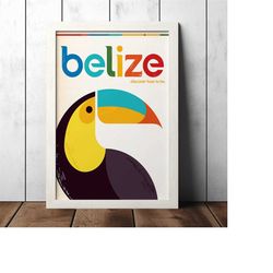 belize vintage travel poster - retro decor poster