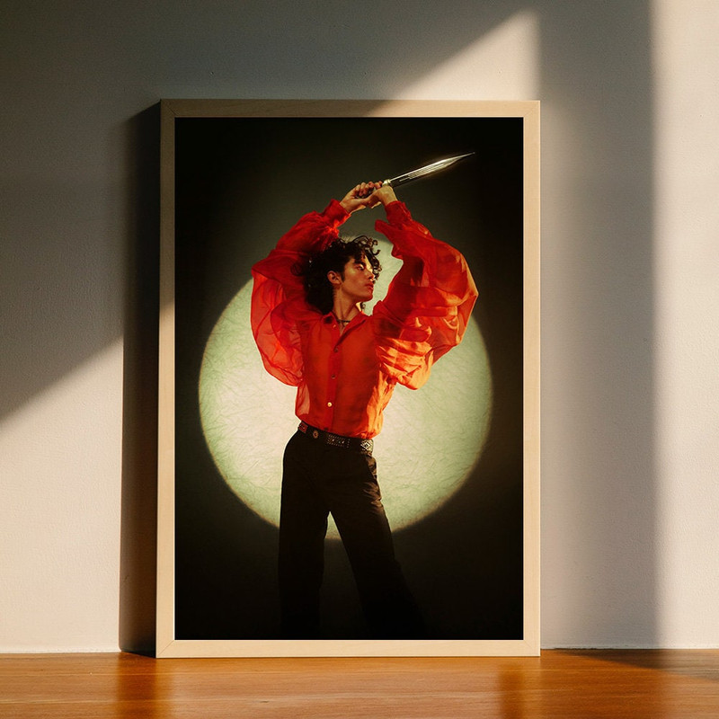 Conan Gray Telepath Music Album Canvas Poster, Wall Art Decor, Home Decor, No Frame.jpg