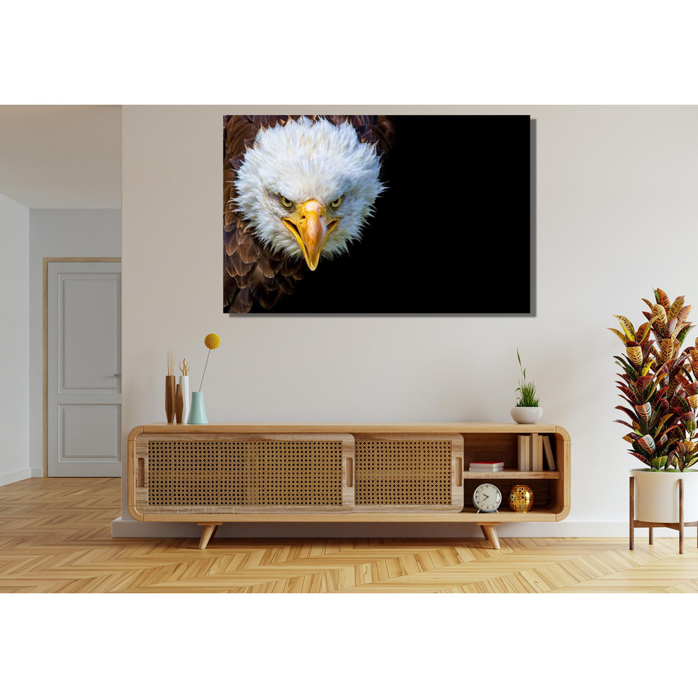 Angry North American Bald Eagle on Black Background Eagle Ready To Hang Canvas,Eagle Wall Decoration Eagle Canvas Wall Art Eagle Large Print.jpg