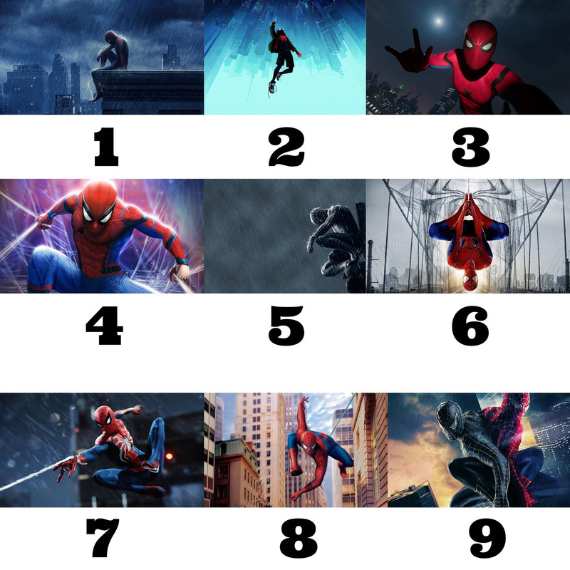 Custom Spiderman Wall Art,Create Your Own Order,Choose 1 of from Spiderman's 18 Artworks,We will Produce it,Leave a Message,Spiderman Poster.jpg