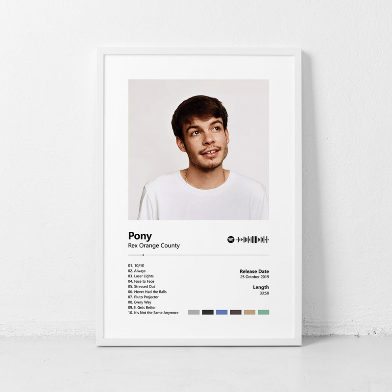 Pony Rex Orange County Music poster, Album Art Poster, Home Decor Wall Art Unframed Poster Decorative Canvas Poster.jpg